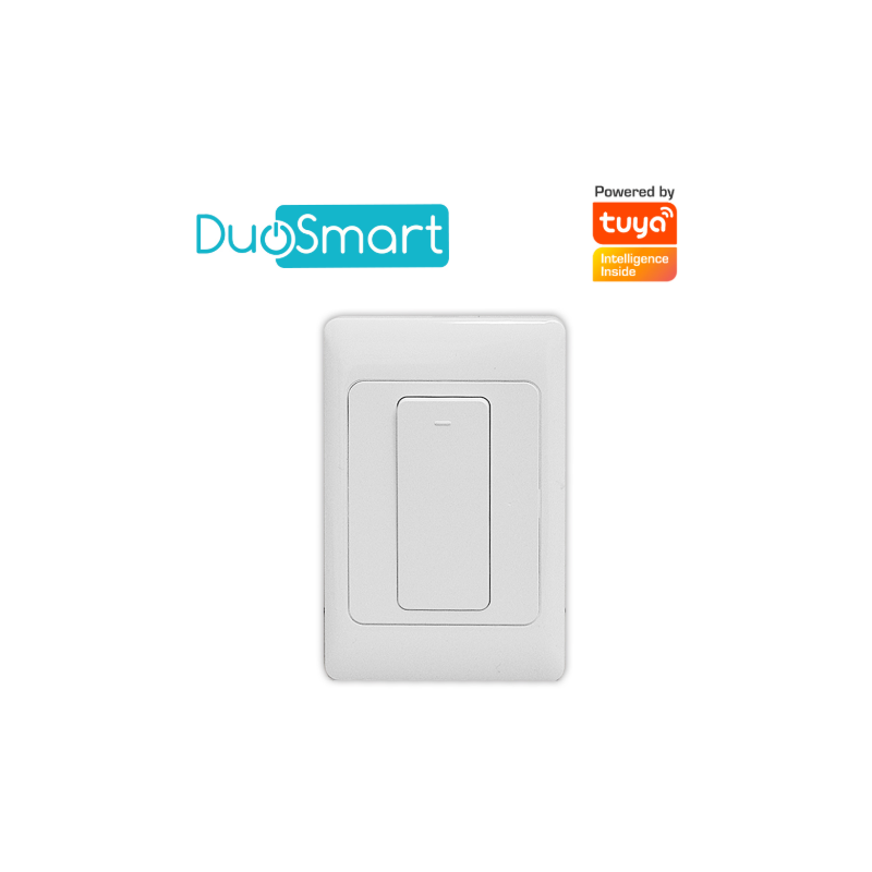 A10 Switch Apagador Duosmart
